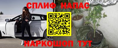 хмурый Гатчина
