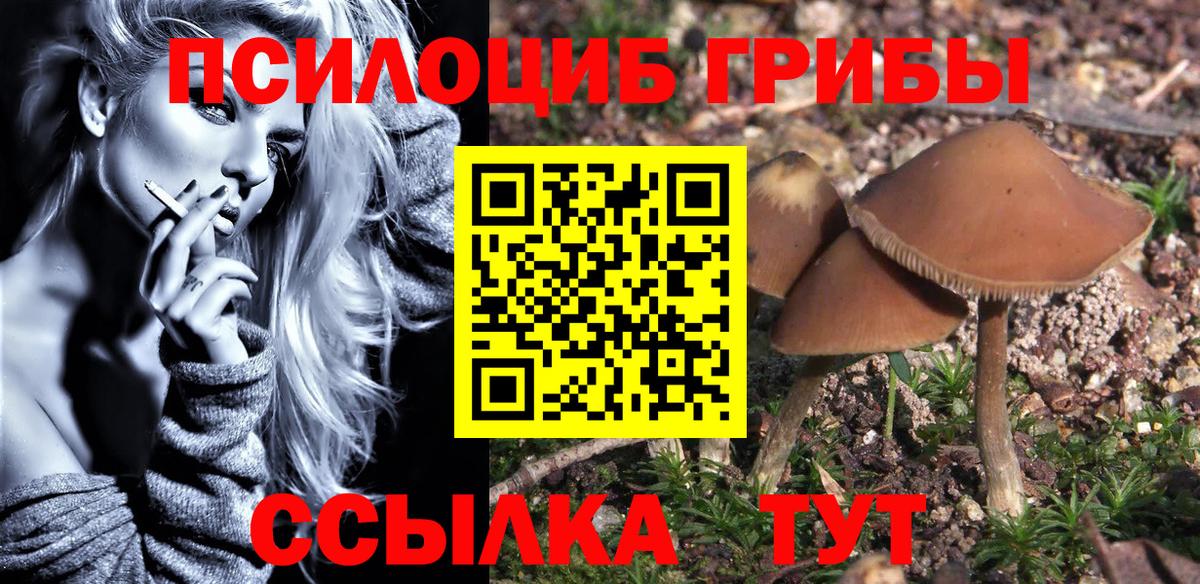 Галлюциногенные грибы Psilocybine cubensis  Псилоцибиновые грибы Psilocybe  Канск  Вход с VPN 
